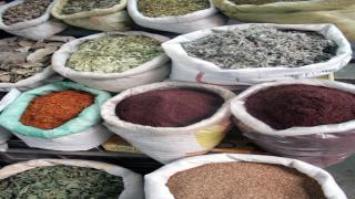 الطب الشعبي