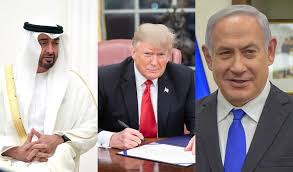 الغماراتي 1 - المرصد الوطني فلسطين والعالم