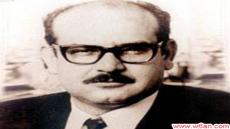 محمود الهمشري
