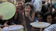 كل هؤلاء شركاء في الجريمة