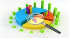 المزاج السياسي الفلسطيني على ضوء استطلاعات الرأي