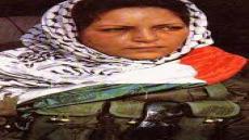 دلال المغربي