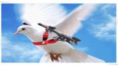 لا تعارض بين المقاومة والتسوية السياسية