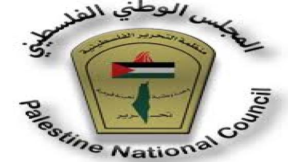 انتخابات المجلس الوطني أهم من الانتخابات التشريعية