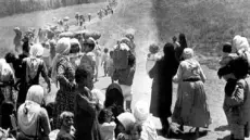 الجوانب الخفية من سردية النكبة